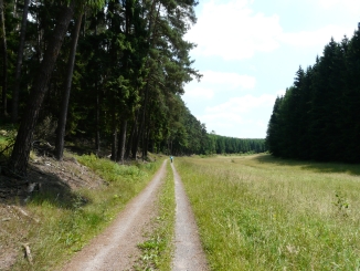 Biken Freienhagen